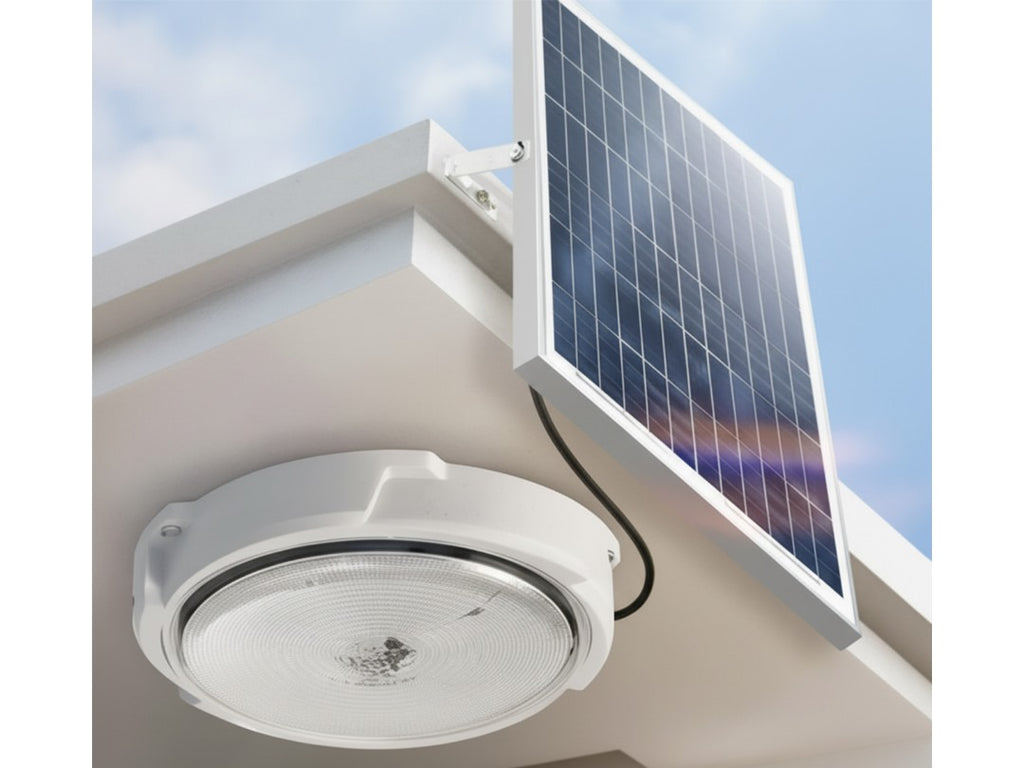 Lampe Solaire de Plafond LED 30W
