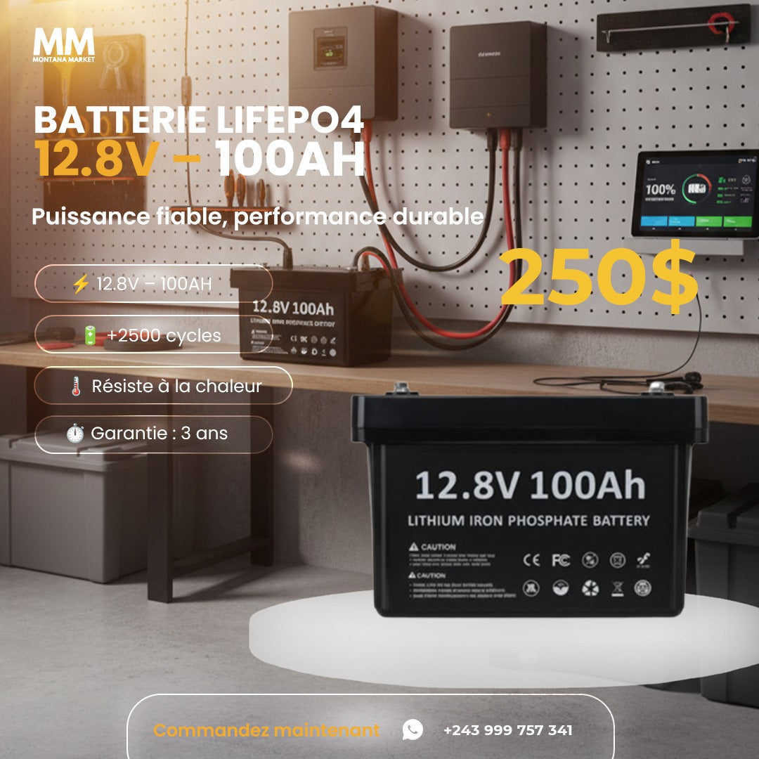Batterie Lithium LiFePO4 12.8V 100Ah